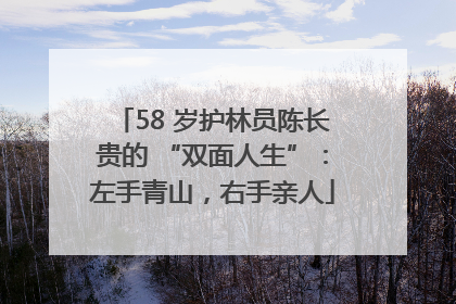 58 岁护林员陈长贵的 “双面人生”：左手青山，右手亲人