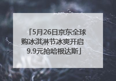 5月26日京东全球购冰淇淋节冰爽开启 9.9元抢哈根达斯