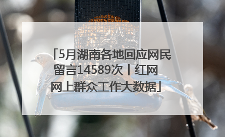 5月湖南各地回应网民留言14589次丨红网网上群众工作大数据
