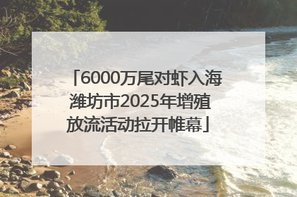 6000万尾对虾入海 潍坊市2025年增殖放流活动拉开帷幕