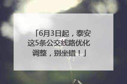 6月3日起，泰安这5条公交线路优化调整，别坐错！