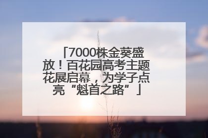 7000株金葵盛放！百花园高考主题花展启幕，为学子点亮“魁首之路”