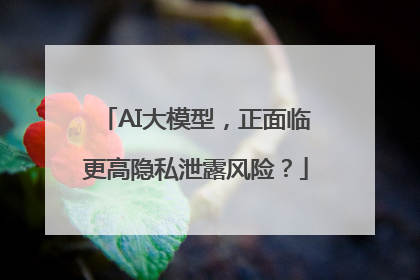 AI大模型，正面临更高隐私泄露风险？