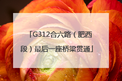 G312合六路（肥西段）最后一座桥梁贯通