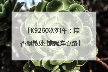 K9260次列车：粽香飘散处 铺就连心路