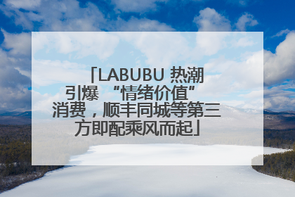 LABUBU 热潮引爆 “情绪价值” 消费，顺丰同城等第三方即配乘风而起